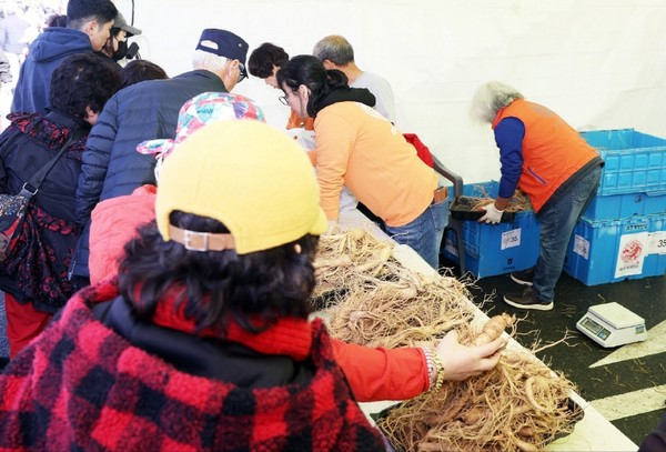 개성인삼농업협동조합 이미지